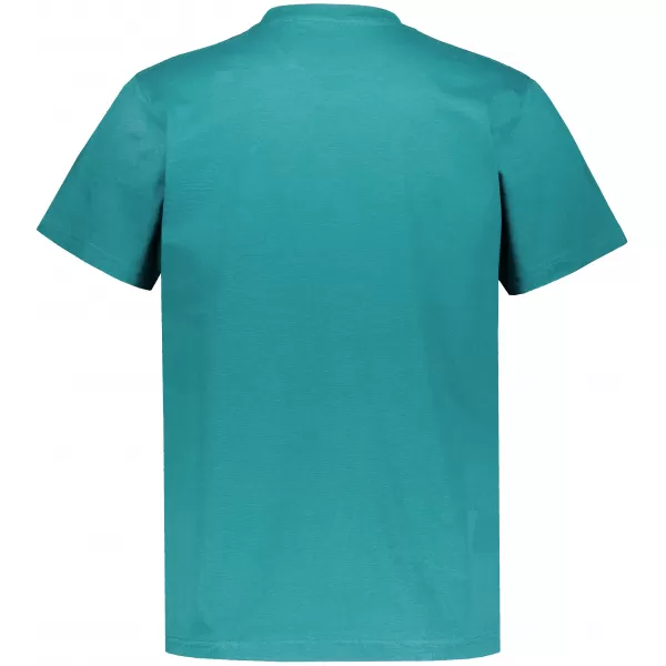  Pánské triko ALTISPORT NP/ALMST20001 TEAL 