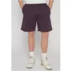 Pánské šortky URBAN CLASSICS TB6297-18329 PLUM PURPLE
