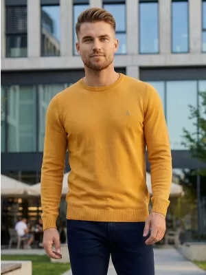 Pánský svetr ALTISPORT KAMIQ MPLS096 ŽLUTÁ