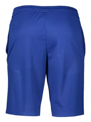 Pánské šortky ALTISPORT ALM006612 KRÁLOVSKÁ MODRÁ