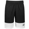 Pánské kraťasy PUMA POWER COLORBLOCK WOVEN SHORTS 9 848819-01 BLACK