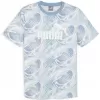 Pánské triko PUMA POWER AOP TEE 678938-20 BLUE