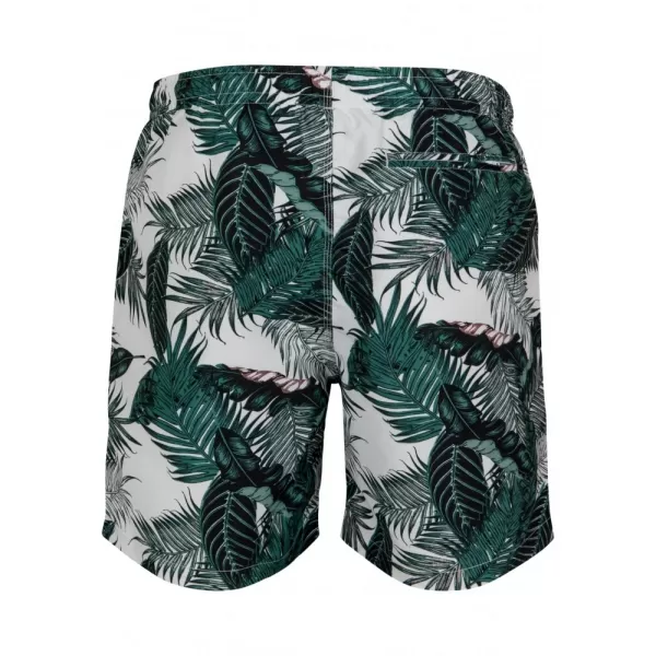  Pánské kraťasy URBAN CLASSICS TB2679 PALM LEAVES 