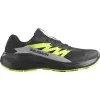 Pánské boty SALOMON ALPHAGLIDE GTX L47802000 BLACK/ALLOY/SHARP GREEN