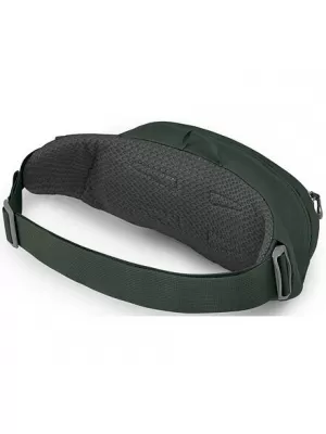 Ledvinka OSPREY DAYLITE WAIST PACK GREEN BELT/GREEN CANOPY