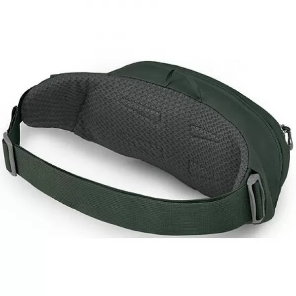  Ledvinka OSPREY DAYLITE WAIST PACK GREEN BELT/GREEN CANOPY 
