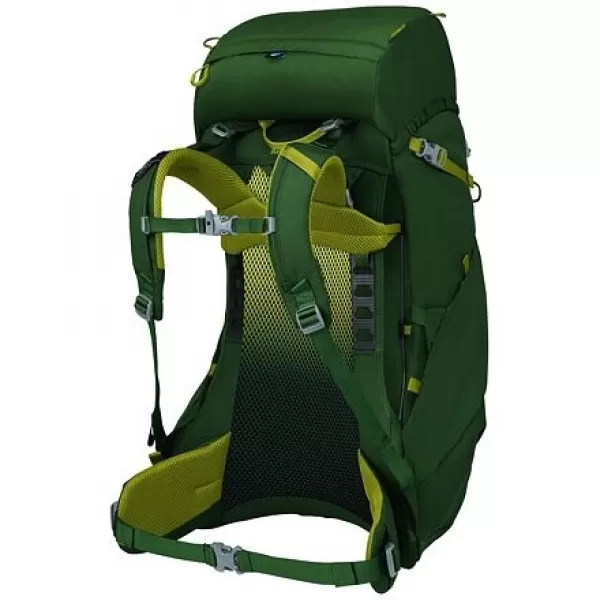  Dětský batoh OSPREY ACE 38 GREEN CANOPY/MATCHA GREEN 