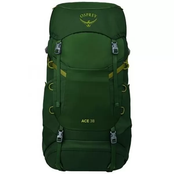  Dětský batoh OSPREY ACE 38 GREEN CANOPY/MATCHA GREEN 
