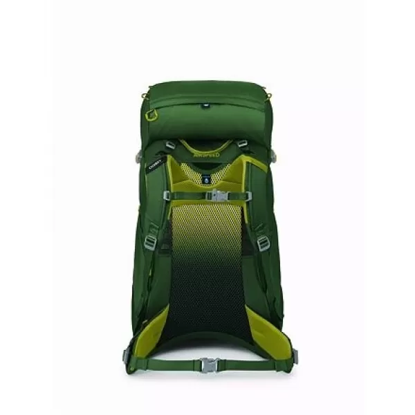  Dětský batoh OSPREY ACE 38 GREEN CANOPY/MATCHA GREEN 