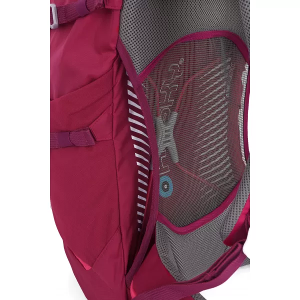  Batoh HUSKY CINGY 30 MAGENTA 