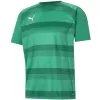 Pánské funkční triko PUMA TEAMVISION JERSEY 704921_05 PEPPERGREEN/POWERGREEN/WHITE