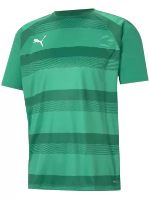 Pánské funkční triko PUMA TEAMVISION JERSEY 704921_05 PEPPERGREEN/POWERGREEN/WHITE