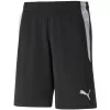 Pánské kraťasy PUMA TEAMLIGA REFEREE SHORTS 705453_03 PUMA BLACK/PUMA WHITE