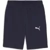 Pánské kraťasy PUMA TEAMGOAL CASUALS SHORTS 658608_06 PUMA NAVY/PUMA WHITE