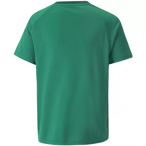  Dětské funkční triko PUMA TEAMVISION JERSEY JR 704928_05 PEPPERGREEN/POWERGREEN/WHITE 
