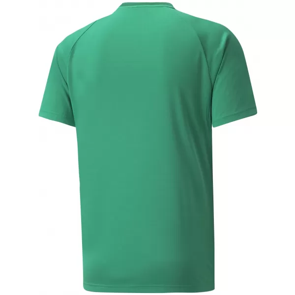  Pánské funkční triko PUMA TEAMVISION JERSEY 704921_05 PEPPERGREEN/POWERGREEN/WHITE 