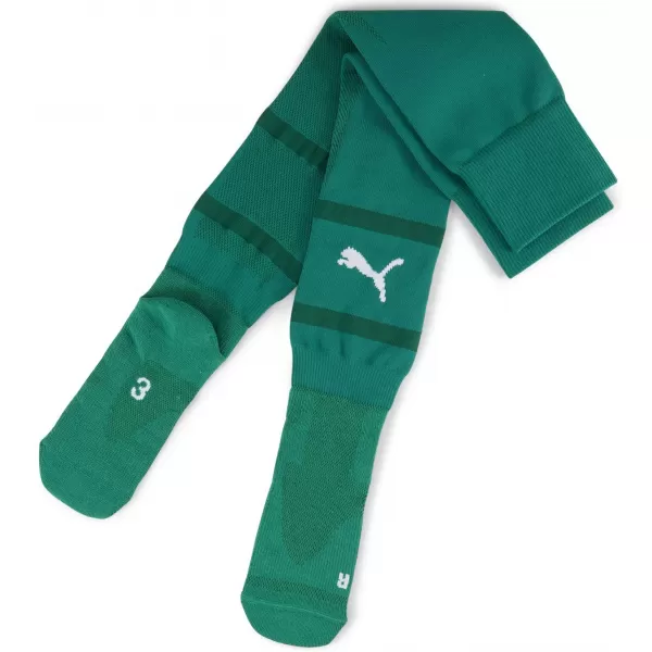  Pánské fotbalové ponožky PUMA TEAMFINAL SOCKS 705746_05 SPORT GREEN/PUMA WHITE 