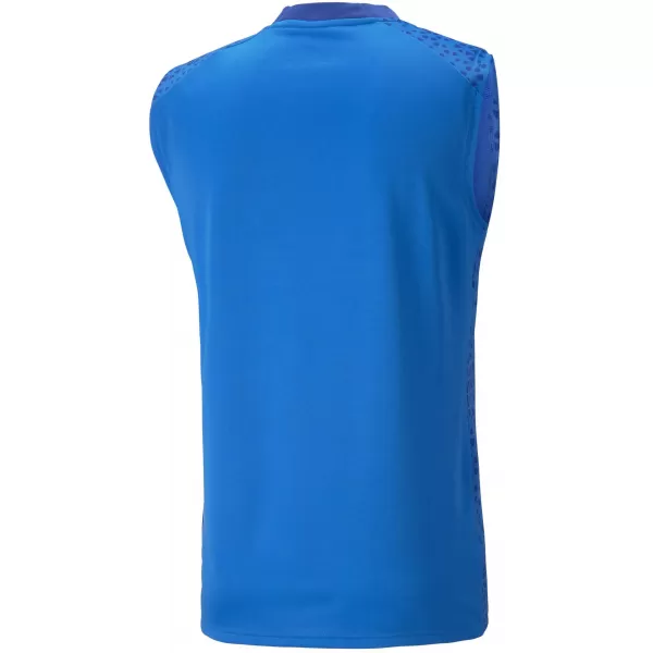  Pánské triko PUMA TEAMCUP TRAINING JERSEY SL 657985_02 ELECTRIC BLUE LEMONADE 