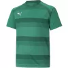 Dětské funkční triko PUMA TEAMVISION JERSEY JR 704928_05 PEPPERGREEN/POWERGREEN/WHITE