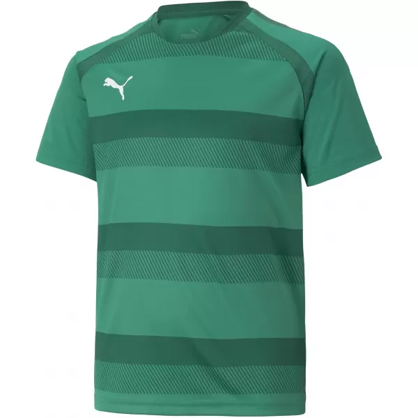  Dětské funkční triko PUMA TEAMVISION JERSEY JR 704928_05 PEPPERGREEN/POWERGREEN/WHITE 