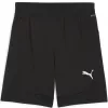 Pánské kraťasy PUMA TEAMFINAL TRAINING SHORTS 658566_03 PUMA BLACK/PUMA SILVER