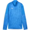 Dámská bunda PUMA TEAMCUP TRAINING 1/4 ZIP TOP 659173_02 ELECTRO ROYAL/PUMA SILVER