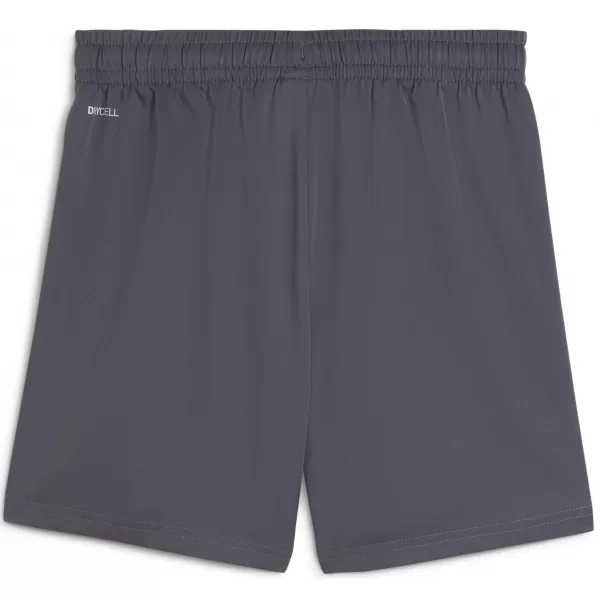  Dětské kraťasy PUMA TAD ESS WOVEN SHORTS 526539_69 GALACTIC GRAY 