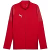 Pánská bunda PUMA TEAMCUP TRAINING JACKET 659165_01 PUMA RED/PUMA SILVER