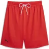 Pánské kraťasy PUMA HOOPS TEAM PRACTICE SHORT 676641_03 PUMA RED