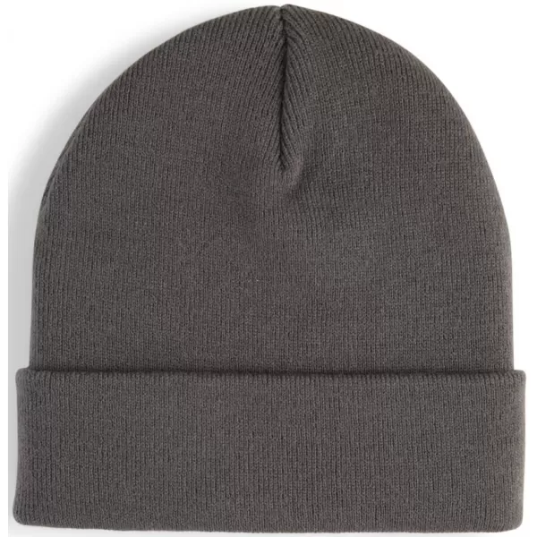  Čepice PUMA METAL PUMA CAT HIGH CROWN BEANIE 026404-03 ŠEDÁ 