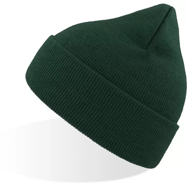  Čepice Atlantis | Eko Beanie PINE GREEN 