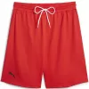 Pánské kraťasy PUMA HOOPS TEAM PRACTICE SHORT 676641_03 PUMA RED
