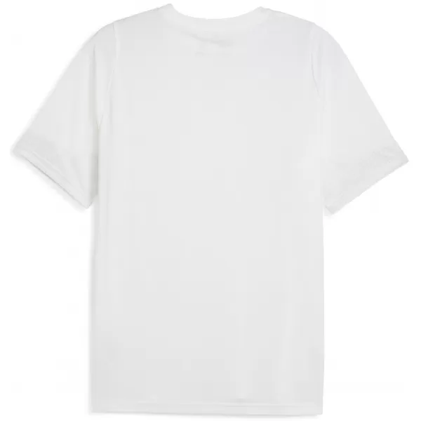  Pánské sportovní triko PUMA TEAMCUP TRAINING JERSEY 659167_04 WHITE 