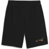 Pánské kraťasy PUMA LOVE UNITED SHORTS 10 TR 684701_01 PUMA BLACK