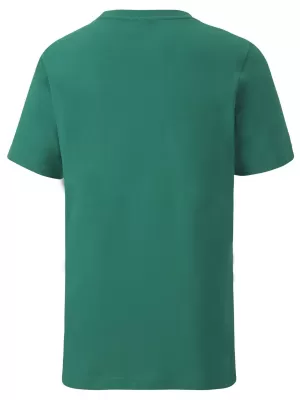 Dětské triko PUMA TEAMGOAL 23 CASUALS TEE JR 656709_05 PEPPER GREEN