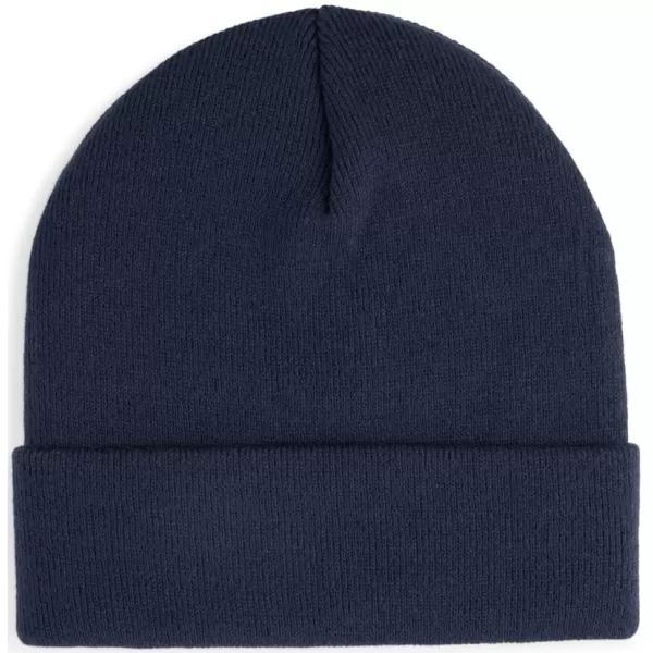  Čepice PUMA METAL PUMA CAT HIGH CROWN BEANIE 026404-02 MODRÁ 