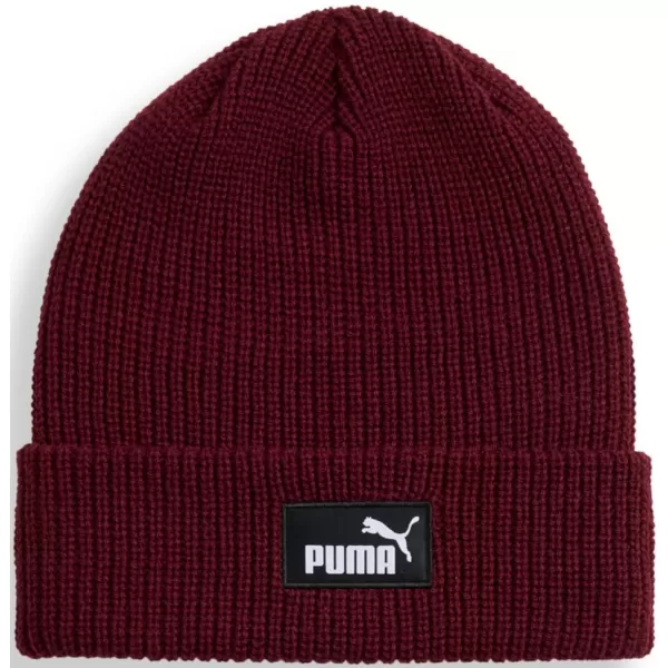  Čepice PUMA ESS HIGH CROWN BEANIE 026410-03 ČERVENÁ 